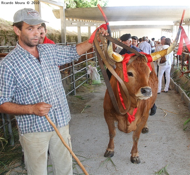 Feira do Prémio 2010