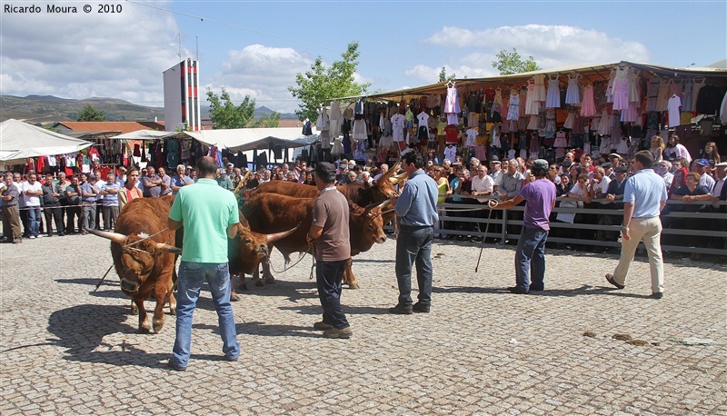 Feira do Prémio 2010