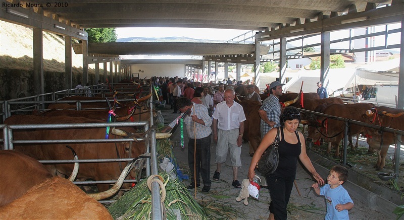 Feira do Prémio 2010