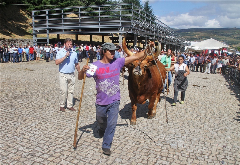 Feira do Prémio 2010