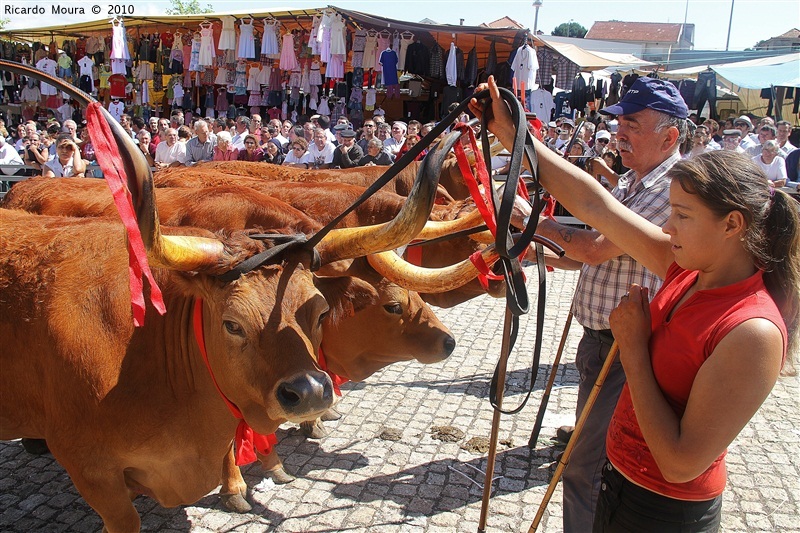 Feira do Prémio 2010