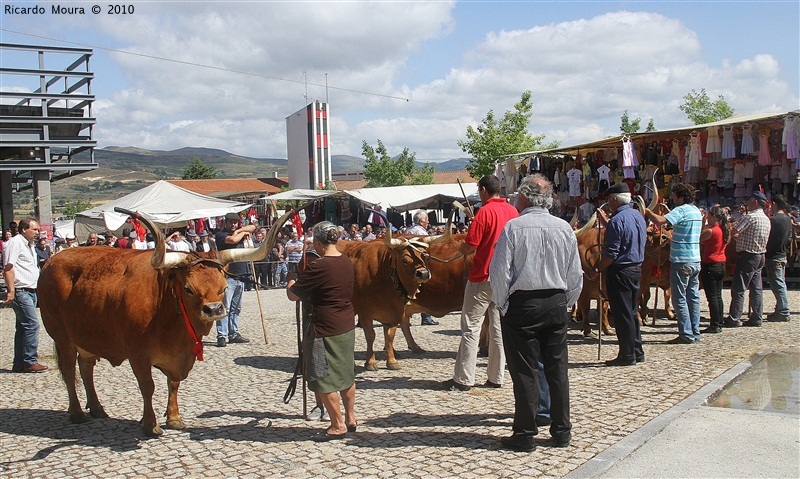 Feira do Prémio 2010