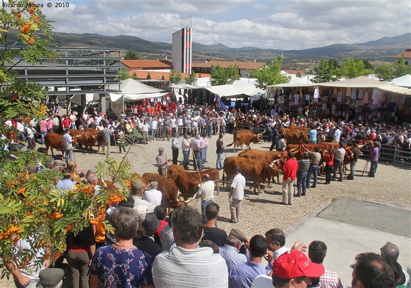 Feira do Prémio 2010