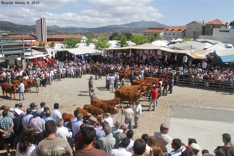 Feira do Prémio 2010