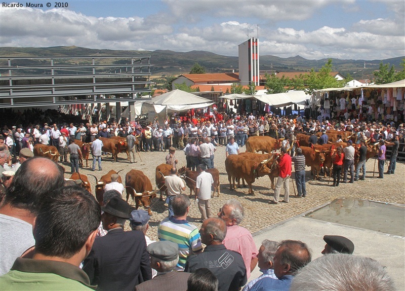 Feira do Prémio 2010