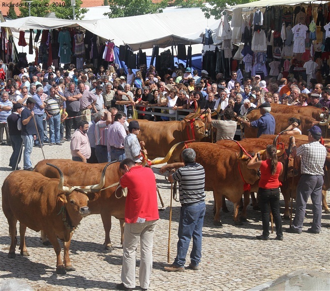 Feira do Prémio 2010