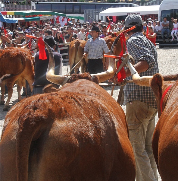 Feira do Prémio 2010