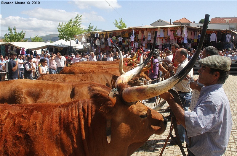 Feira do Prémio 2010