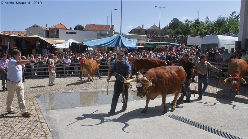 Feira do Prémio 2010