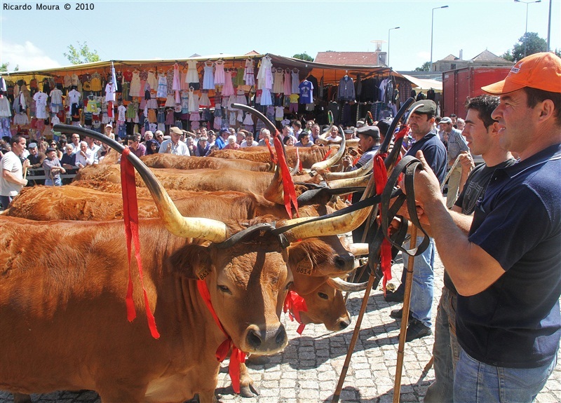 Feira do Prémio 2010