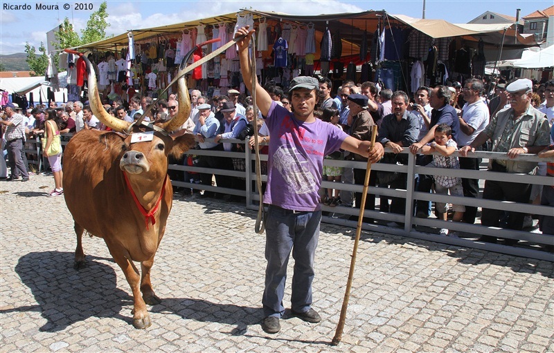 Feira do Prémio 2010