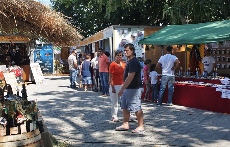 XXIV Congresso Medicina Popular