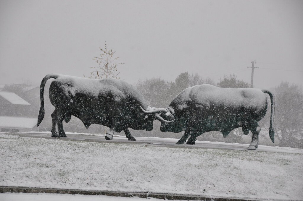 Neve em Montalegre (novas fotos)