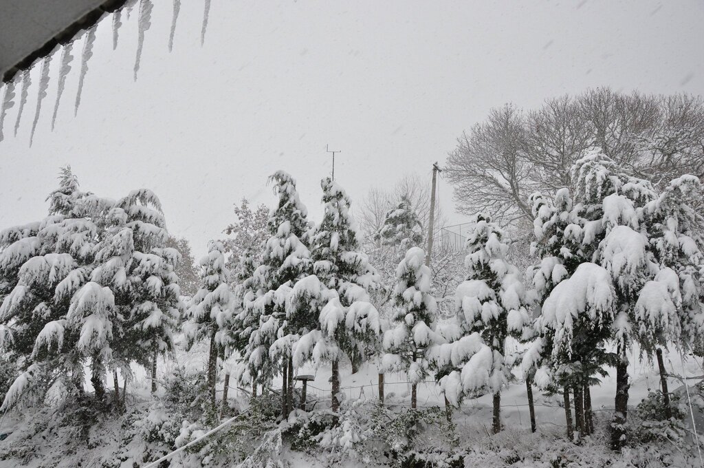 Neve em Montalegre (novas fotos)