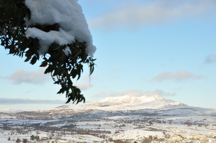 Neve em Montalegre (novas fotos)
