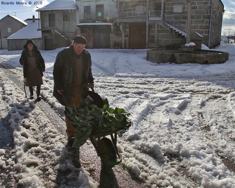 Neve em Montalegre (novas fotos)