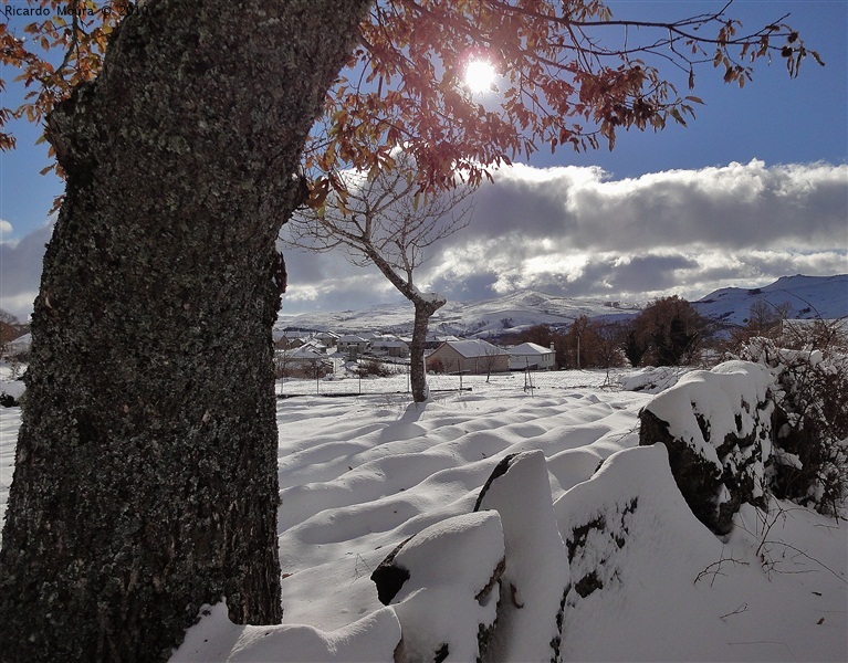 Neve em Montalegre (novas fotos)