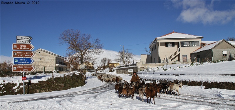 Neve em Montalegre (novas fotos)