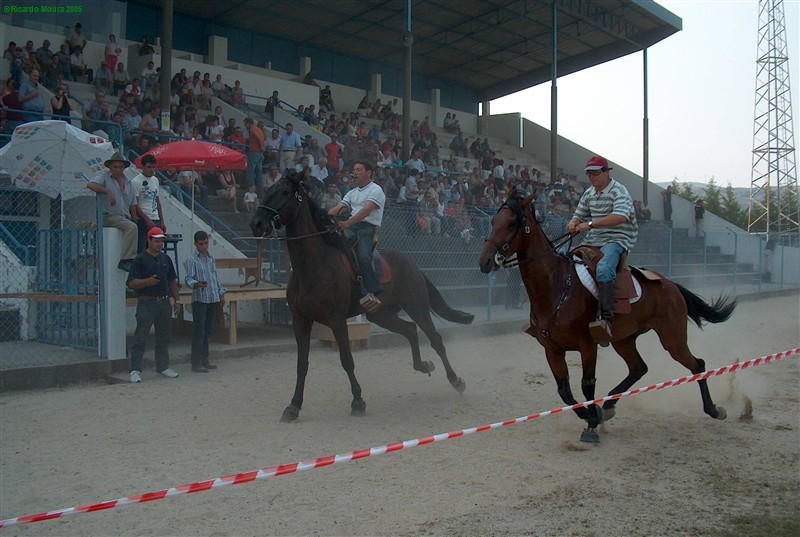 Corrida de Cavalos no Campo do Rolo - fotos da competição