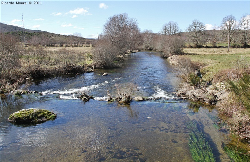 Abertura da pesca no rio