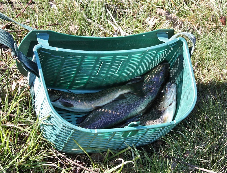 Abertura da pesca no rio