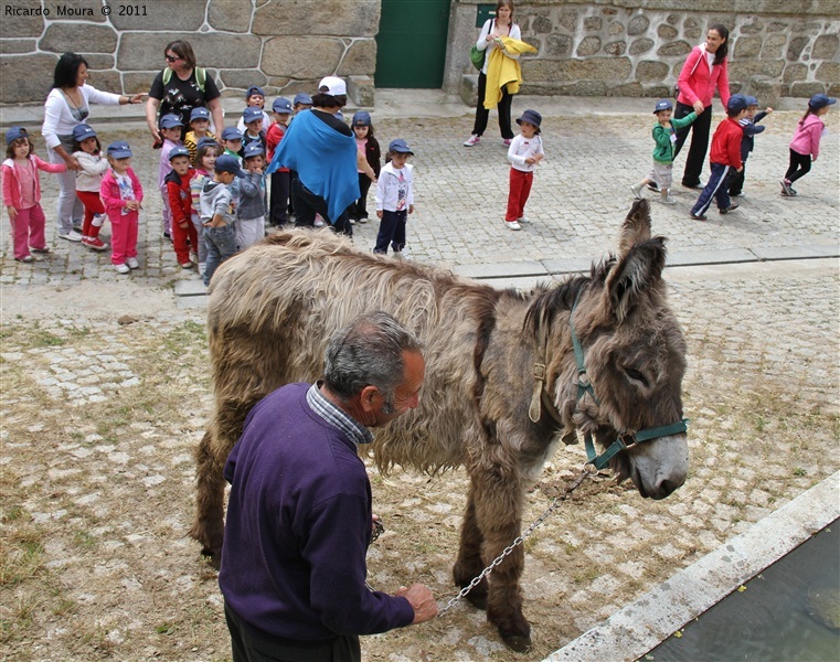 III Carrilheiras Júnior de Barroso