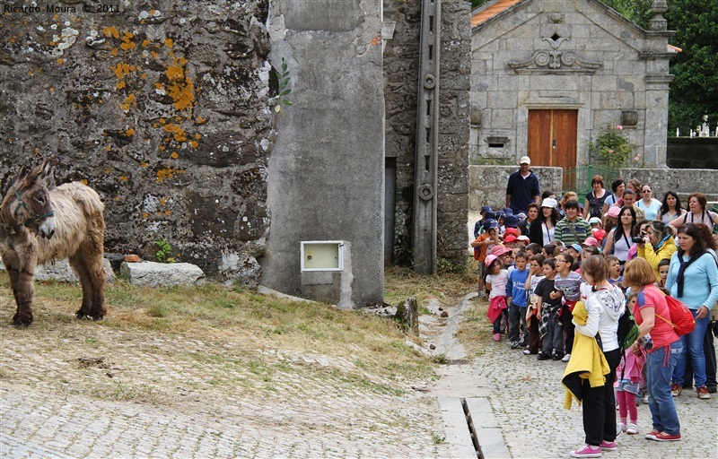 III Carrilheiras Júnior de Barroso