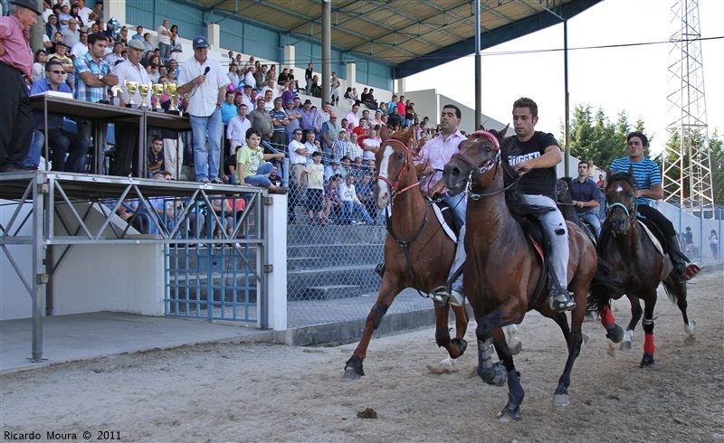 Corrida de Cavalos 2011