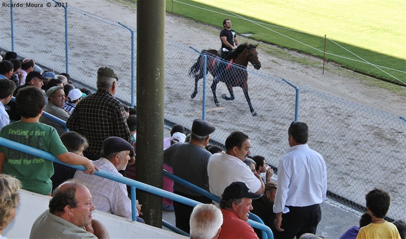 Corrida de Cavalos 2011