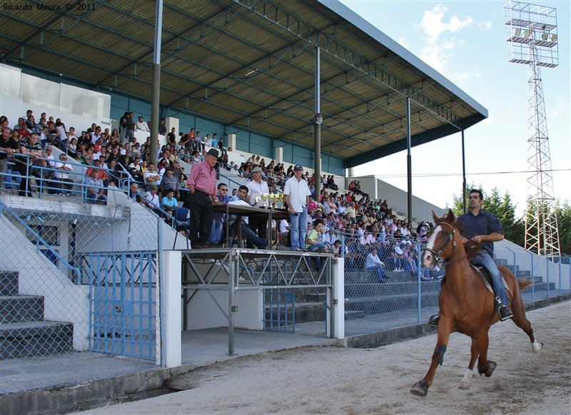 Corrida de Cavalos 2011