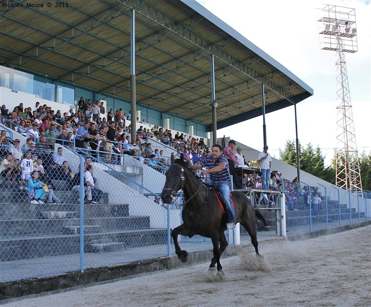 Corrida de Cavalos 2011