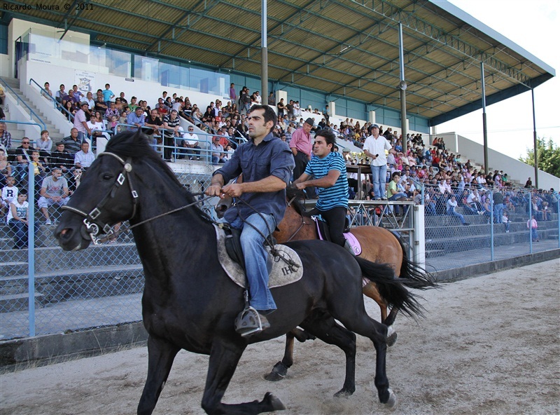 Corrida de Cavalos 2011