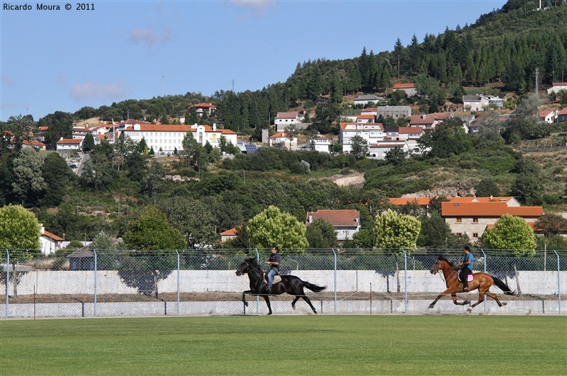 Corrida de Cavalos 2011