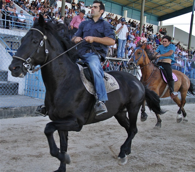 Corrida de Cavalos 2011