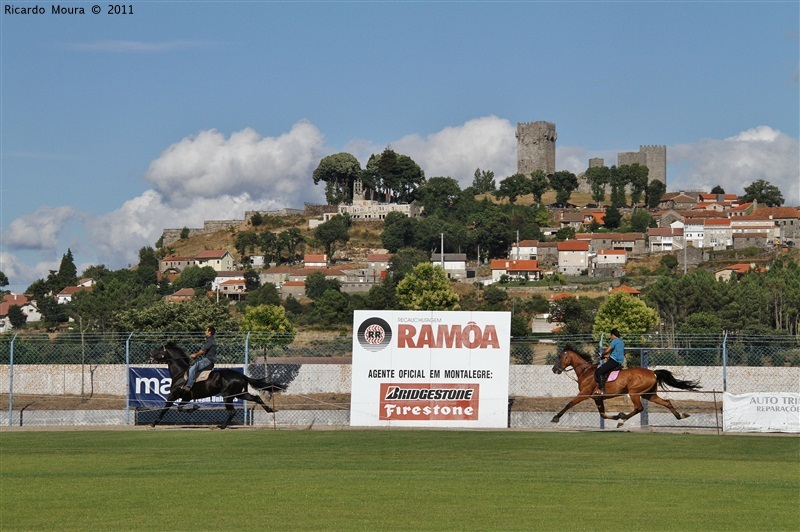 Corrida de Cavalos 2011