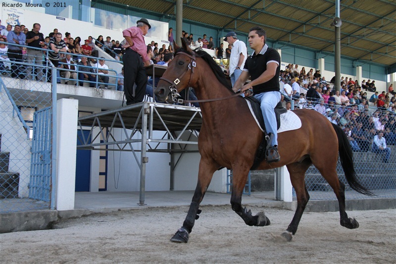Corrida de Cavalos 2011