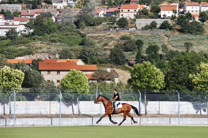 Corrida de Cavalos 2011