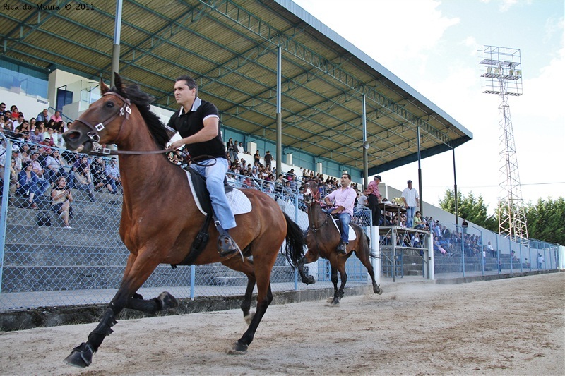 Corrida de Cavalos 2011