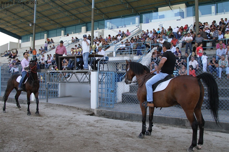 Corrida de Cavalos 2011