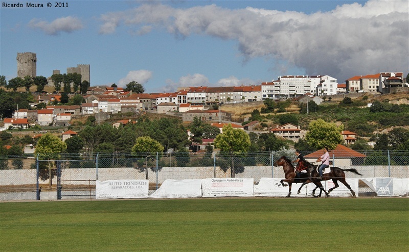 Corrida de Cavalos 2011