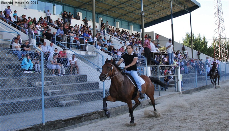 Corrida de Cavalos 2011