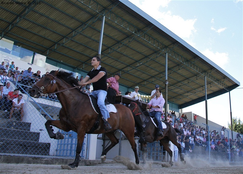 Corrida de Cavalos 2011