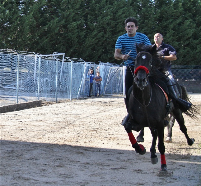 Corrida de Cavalos 2011