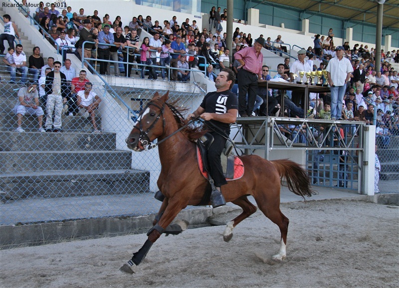 Corrida de Cavalos 2011