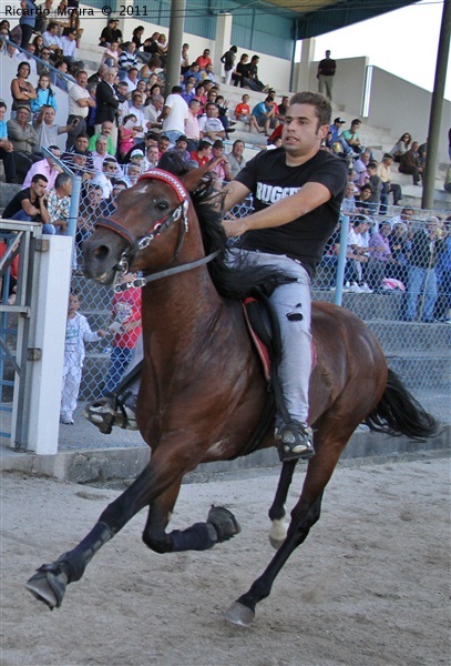 Corrida de Cavalos 2011