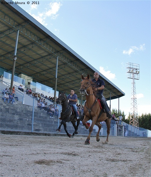 Corrida de Cavalos 2011