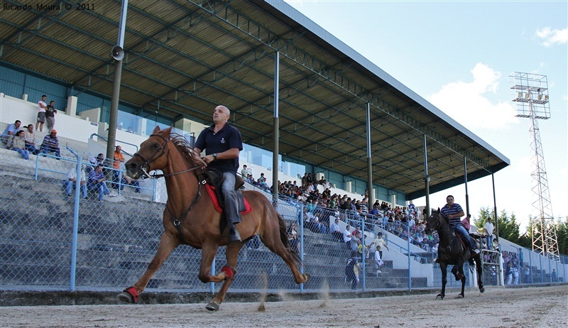 Corrida de Cavalos 2011