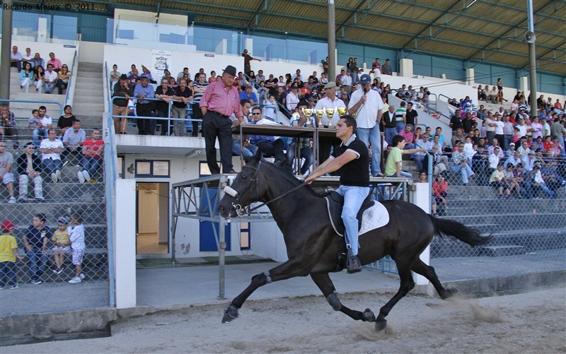 Corrida de Cavalos 2011