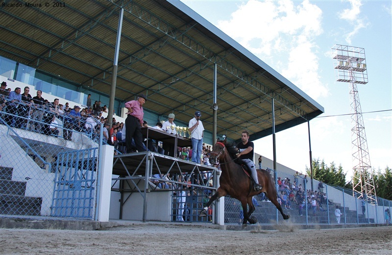 Corrida de Cavalos 2011