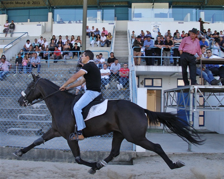 Corrida de Cavalos 2011